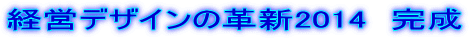 経営デザインの革新2014 完成
